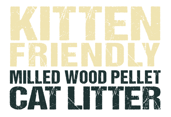 Kitten-Litter-Darker-Text-Green